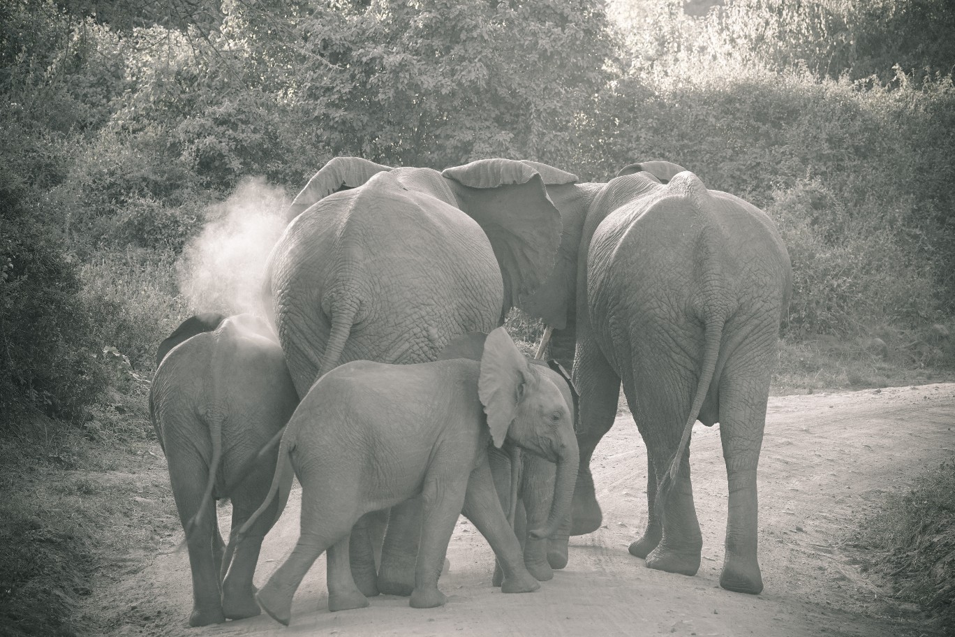 Tarangire National Park