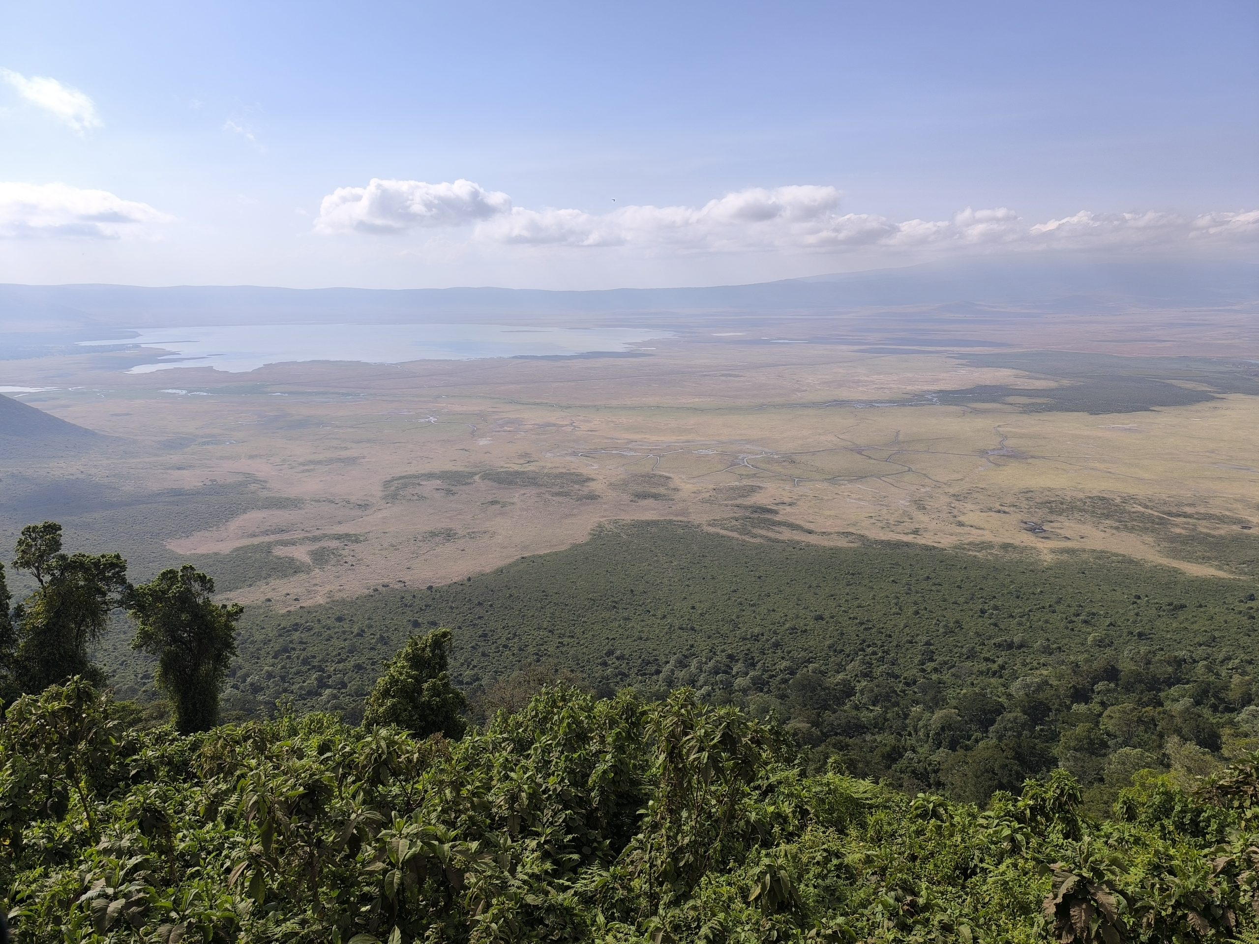 Ngorongoro Crater